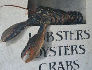 Review – Whitstable Oyster Fishery Company Fish Restaurant, The Royal Native Oyster Stores, Horsebridge, Whitstable, Kent, CT5 1BU. Telephone: +44 (0) 1227 276856 – The Steeple Times