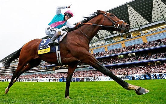 In October, the racing world said a fond farewell to Frankel, undoubtedly one of the finest racehorses ever after 14 races. Our man in the know, The Tout, celebrated him repeatedly in our columns and at stud he’ll be worth at least £100 million.
